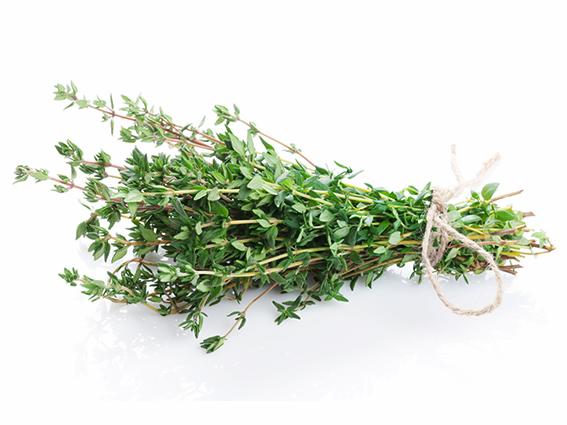 Timo capitato mazzetto 20g