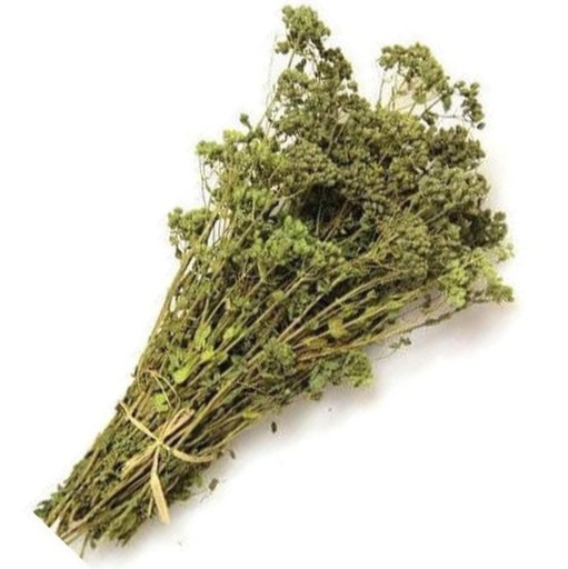 Origano mazzetto 20g
