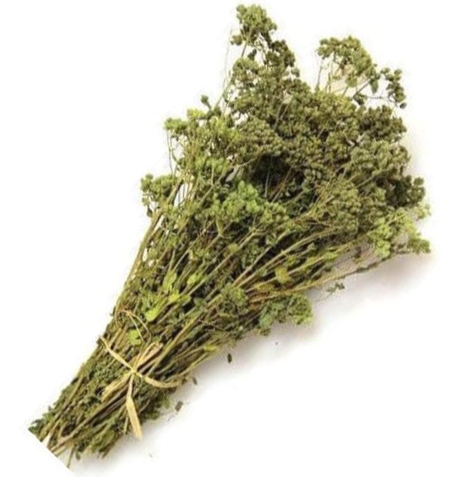 Oregano, Bund 20gr