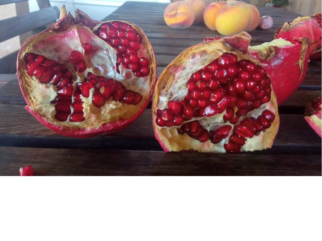 Melograno retina 3kg - BIO 