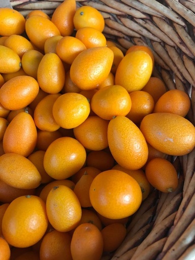 Kumquat im Netz 1kg - BIO